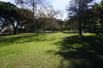 Enlarge photo 29