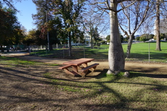 Enlarge photo 13