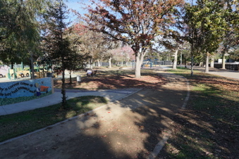 Enlarge photo 7