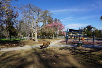 Enlarge photo 9