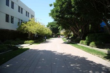 Commissary Walkway/Lawn