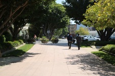 Enlarge photo 6