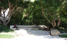 Enlarge photo 8