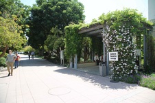 Enlarge photo 12