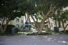 Enlarge photo 18