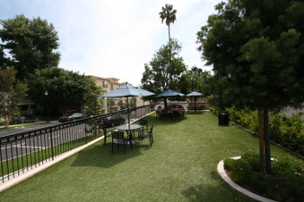 Ext Bldg 310 Lawns