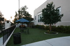 Enlarge photo 24