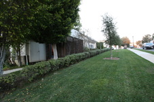 Enlarge photo 34