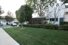 Enlarge photo 37