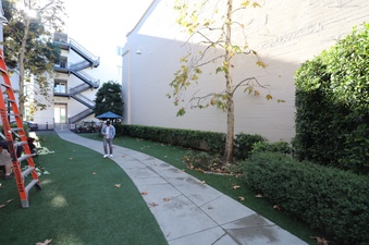 Enlarge photo 9