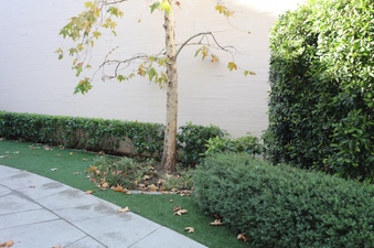 Enlarge photo 10