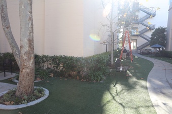 Enlarge photo 17