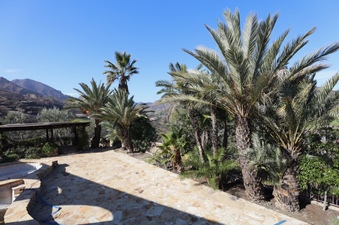 Enlarge photo 59
