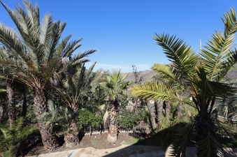 Enlarge photo 60