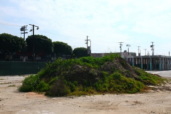 Enlarge photo 16