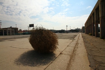 Enlarge photo 31