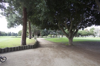Enlarge photo 11
