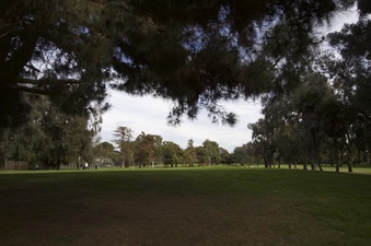 Enlarge photo 9