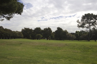 Enlarge photo 14