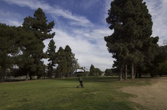 Enlarge photo 17