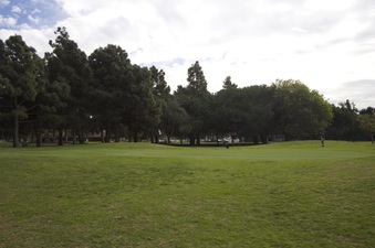 Enlarge photo 19