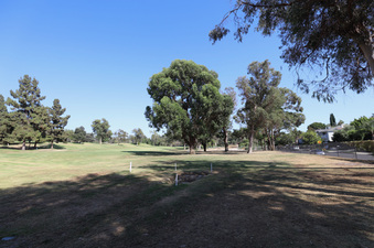 Enlarge photo 55