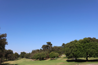 Enlarge photo 33
