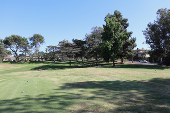 Enlarge photo 56