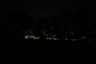 Enlarge photo 37