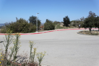 Enlarge photo 16