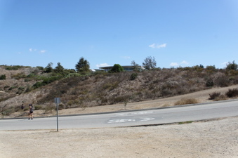 Enlarge photo 44