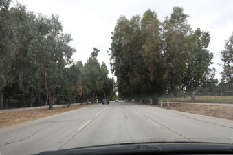 Enlarge photo 18