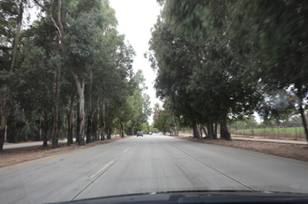 Enlarge photo 19