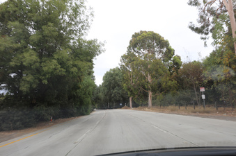 Enlarge photo 26
