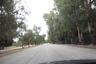 Enlarge photo 28