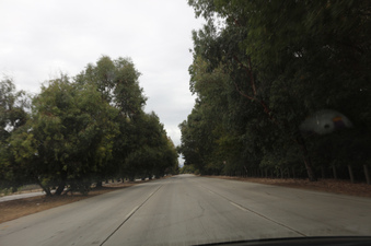 Enlarge photo 30