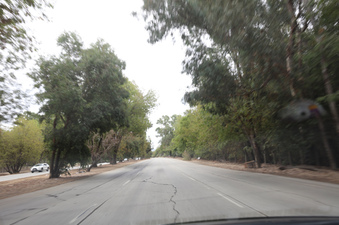 Enlarge photo 31