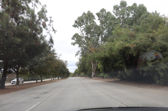 Enlarge photo 32