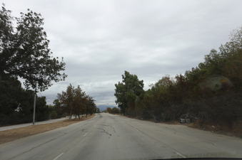 Enlarge photo 35