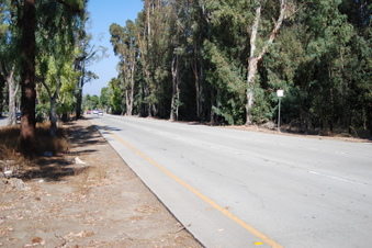 Enlarge photo 3