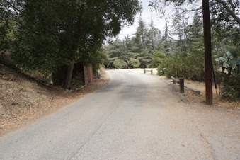 Enlarge photo 30