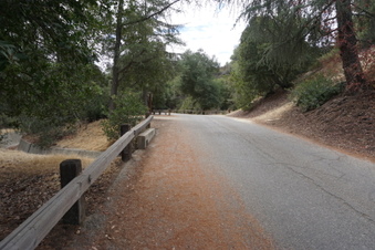 Enlarge photo 38