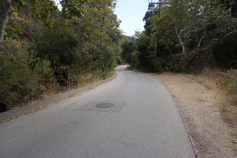 Enlarge photo 63
