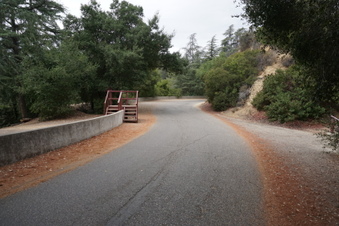 Enlarge photo 7