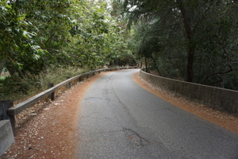 Enlarge photo 10