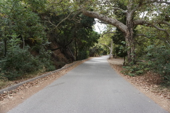 Enlarge photo 52