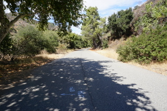 Enlarge photo 81