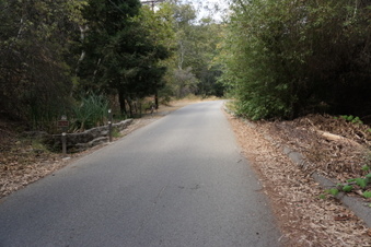 Enlarge photo 65