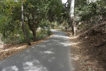 Enlarge photo 42