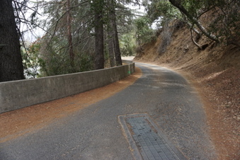 Enlarge photo 19